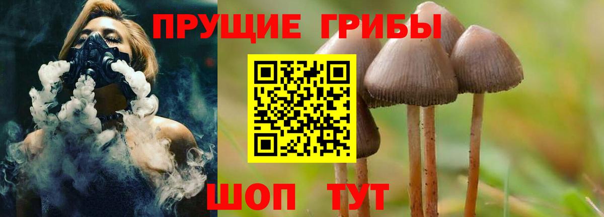 Галлюциногенные грибы MAGIC MUSHROOMS  Вход с VPN  Псилоцибиновые грибы Magic Shrooms  Муравленко 